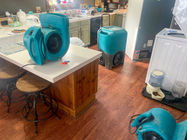 Best Water damage contractors near me  in Royal City, WA