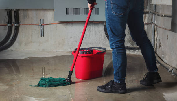 Best Flood damage cleanup  in Royal City, WA