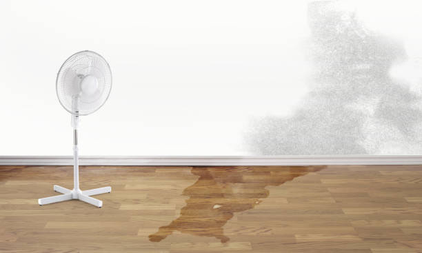 Best Water damage restoration near me  in Royal City, WA