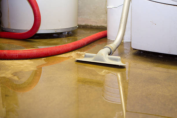Best 24/7 water damage repair  in Royal City, WA