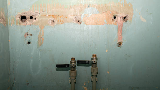 Best Basement water damage restoration  in Royal City, WA