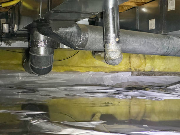 Best Ceiling water damage repair  in Royal City, WA