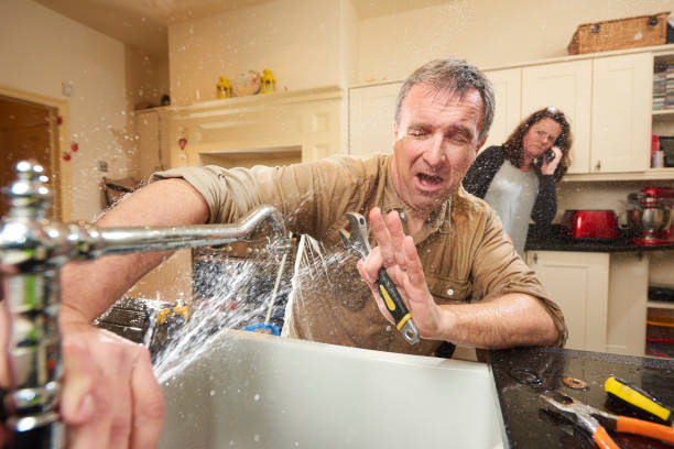 Best Mold removal after water damage  in Royal City, WA